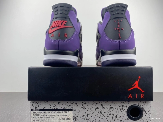 Reps TBkick and Family) Retro 4 (Friends Jordan 766296 LN4 Scott Travis Purple 0812